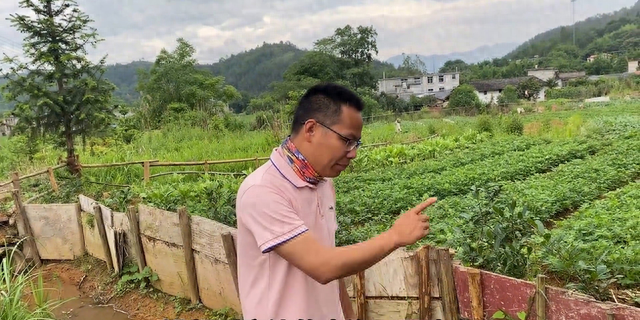 蚂蟥最怕什么（蚂蟥最害怕的东西原来是它）