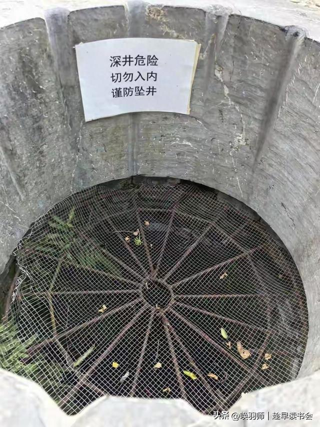 去公园散步惊现满井汉砖！有文化真好，早知道我带几块回来了！