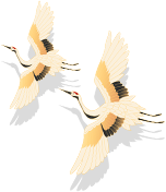 贵州省博物馆放大招！文物“活”了，360°玩转千年宝藏