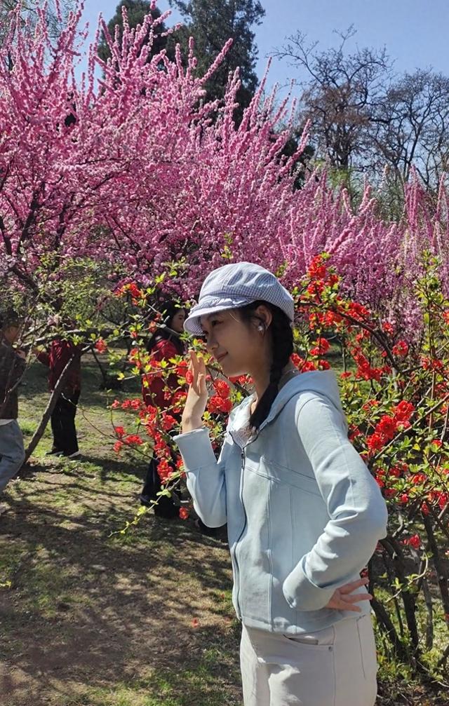 踏青赏春正当时 春和景明赴花约