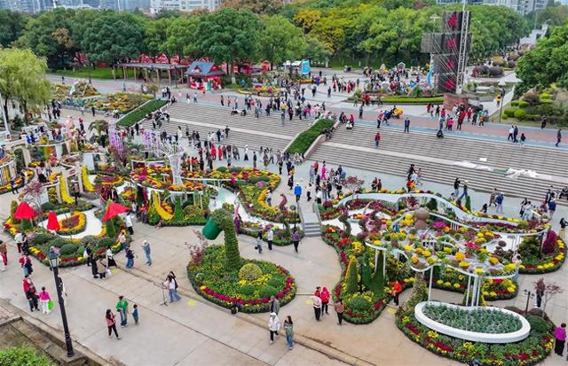 “巴公房子”立江畔，十大名菊传古韵！走过近70年的武汉菊展邀您来赏颜值品内涵