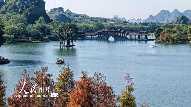 广西南宁：花花大世界景区冬景如画醉游人