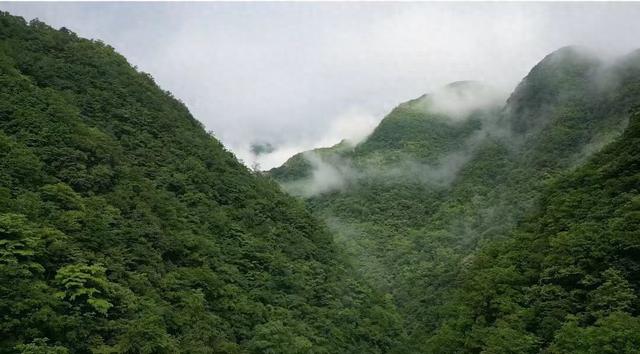 退休后，旅行与不旅行的人生，结果出乎所有人的想象