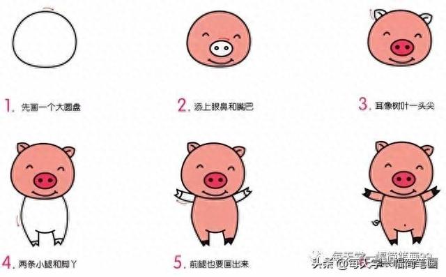 猪简笔画（每天学一幅简笔画小猪动物简笔画步骤图片大全）