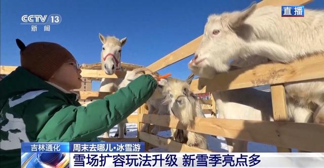 周末去哪玩？雪场“不打烊” 冰雪文旅一路畅游