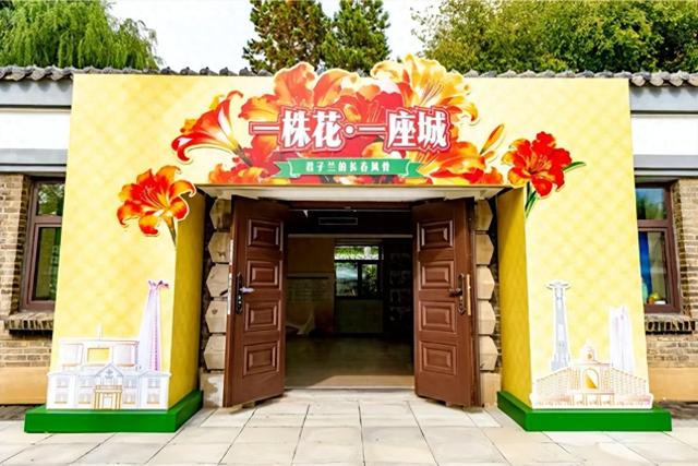 这波“文化局”赢麻了！不冲真的亏！