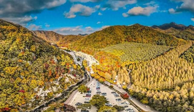 东北秋色地图：老司机才知道的追枫时间表