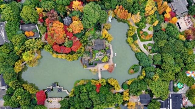 请查收美图！这么美的奉贤，你见过吗？