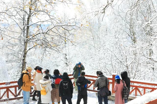 踏雪寻景、雪野狂欢、温泉放松……这条短途自驾线路带你玩转阿尔山