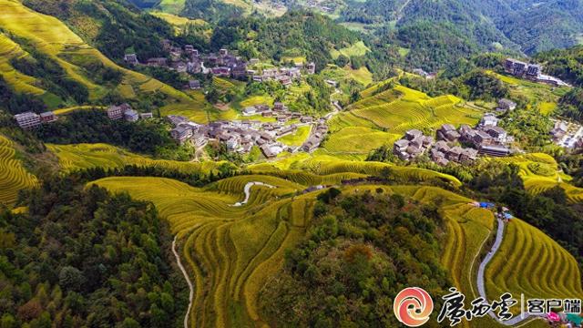 龙胜：游览梯田 乐享假期