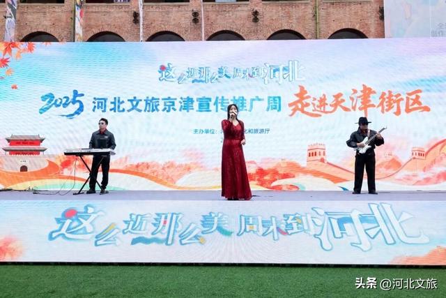 南皮非遗津门绽放 运河风邂逅海河情引热潮