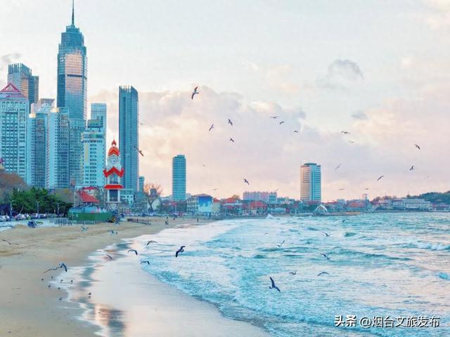 【乐游烟台】来第一海水浴场，和“鸥像”见个面