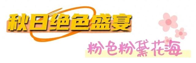 烟台秋日绝色盛宴筹备中，走！寻秋去！