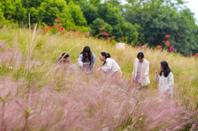 满屏粉红！福州美成童话！