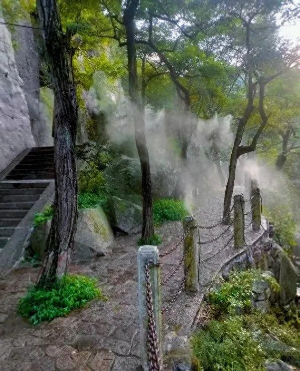速看！崂山这一景区有新变化，附赠游玩攻略→