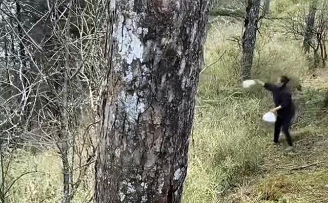 游客反映保洁员向原始森林丢弃垃圾，西岭雪山景区回应：正在了解情况