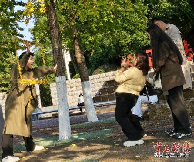 深秋暖阳好作伴，岳屏广场邀你共赴“金色之约”