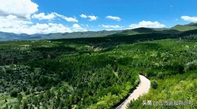 朔州：走！去西山森林公园