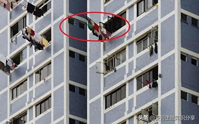 浙江发现一户人家阳台,果然聪明人,大开眼界,给大家晒晒!
