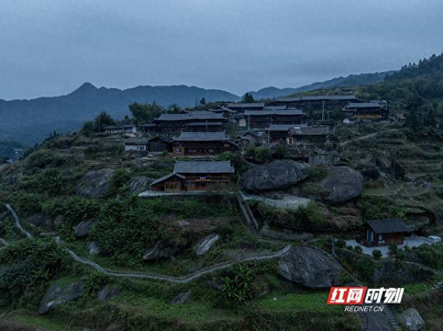 大美红图 | 那山那人那狗