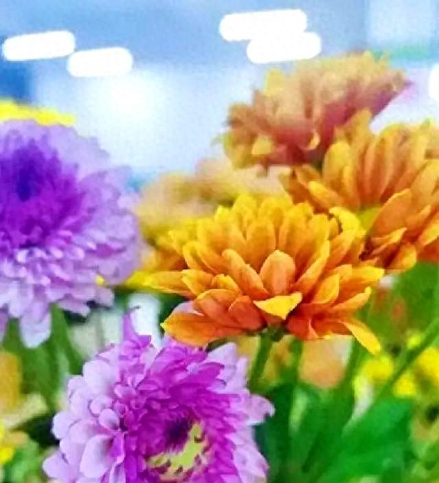 北京下了死命令，2027年底前，所有中小学必须告别校外配餐