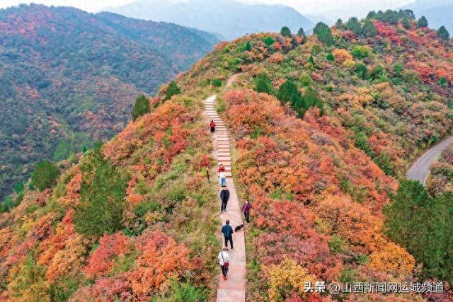 打卡平陆县马泉沟：邂逅红叶美景