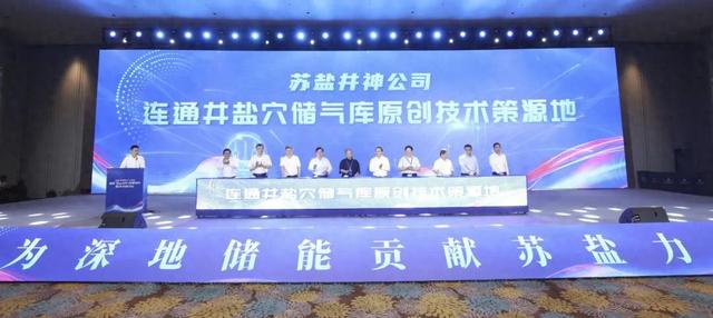 苏盐井神院士工作站盐矿深地储能成果发布暨学术研讨会在我市举行