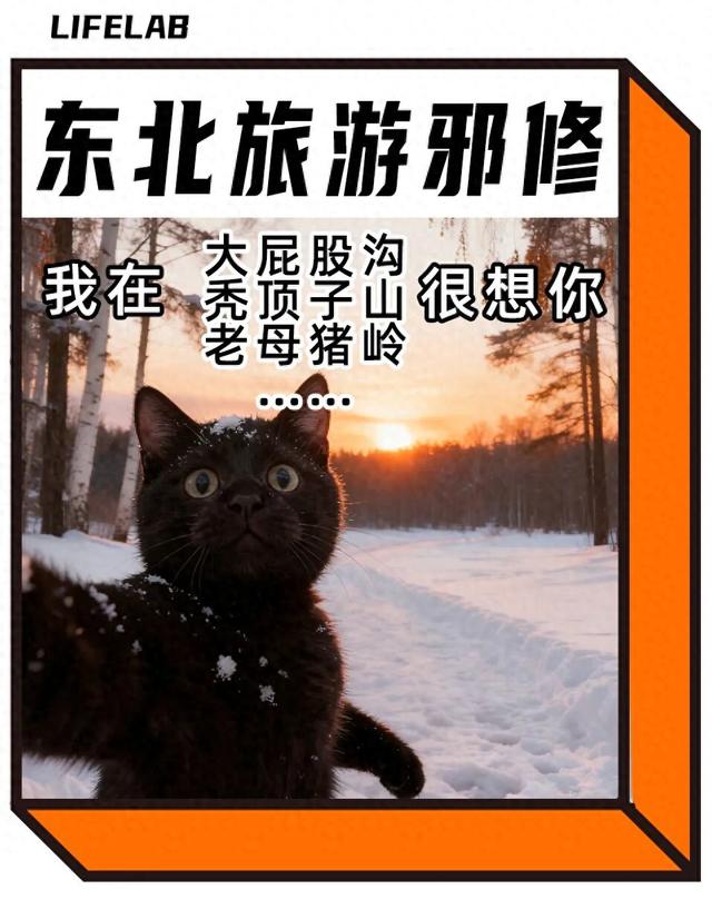 东北“屁股沟”，成了年轻人的瑞士平替
