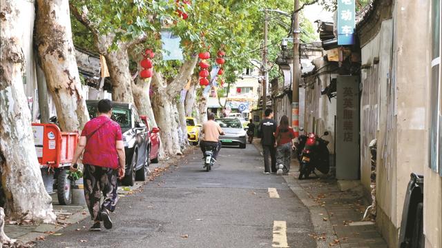 一半书香一半烟火千年罗城可触可感 “寻味甬城·小巷之旅”微游线路揭幕