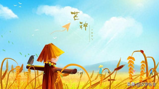 麦的组词（汉字节气芒种也忙也亡）