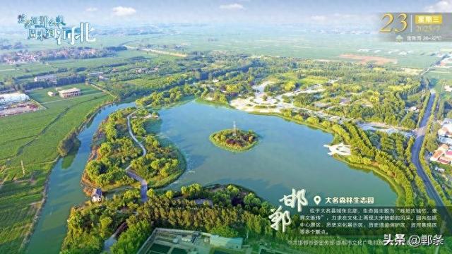 这么近 那么美 周末到河北——邯郸·大名森林生态园