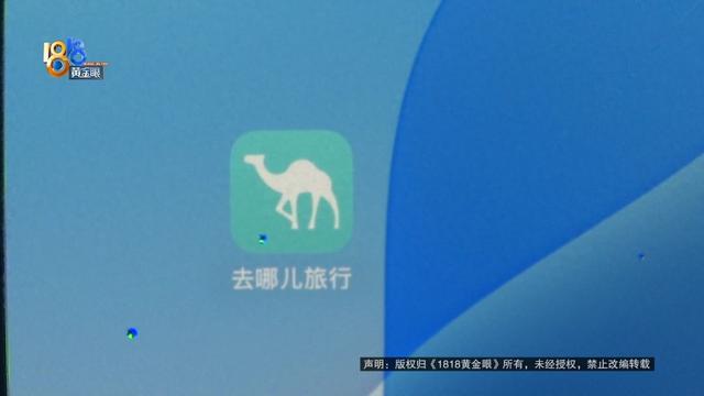 带孩子去新西兰旅游，订的机票被取消，他却意外发现......