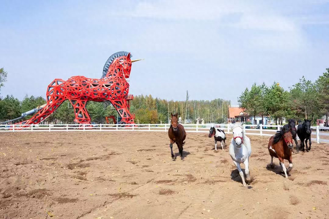 龙江骑遇 野趣拉满