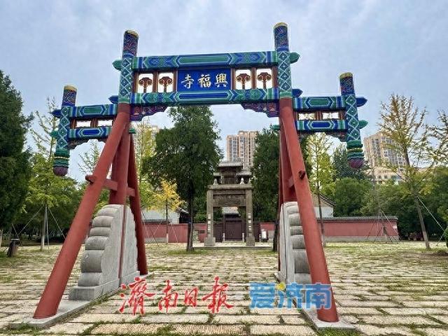 初秋济南兴福寺：银杏撒金映古建 绘就城市诗意画卷