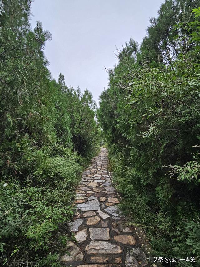 向大山出发，探索大山的奥秘，享受大山的氧吧，观赏大山的美景