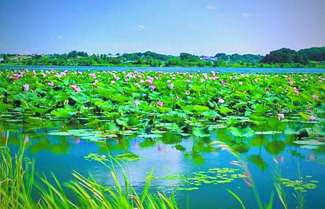 保定凭什么被称为京津冀的"隐藏宝地"？本地人说出了真相