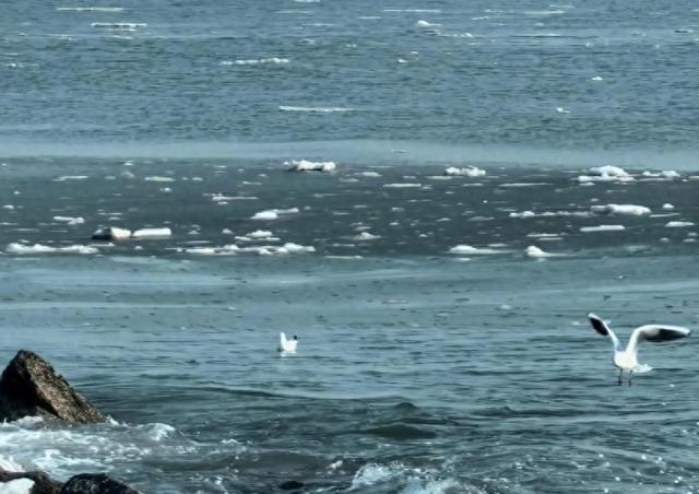 读城记|寂寥的沙滩