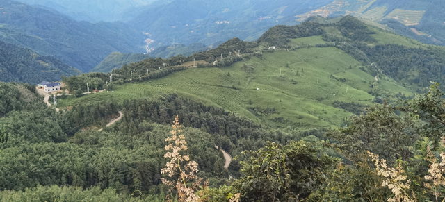 散文丨刘军麒、曾来生：踏访六步溪——溪山藏韵，人文蕴魂