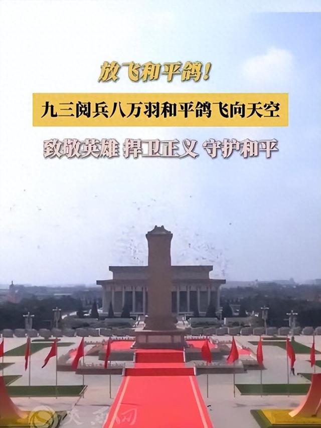 60万选8万！九三阅兵和平鸽选拔大揭秘，冠军鸽带队飞越天安门
