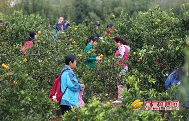 冬日亲子游，收好这份宝藏攻略