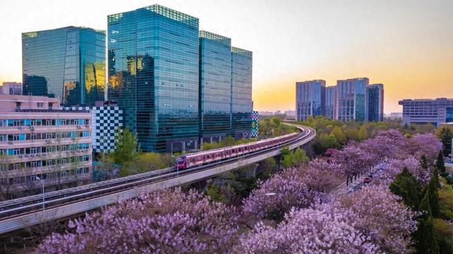 来亦庄还能这么逛？两条线路带您打卡2025世界机器人大会