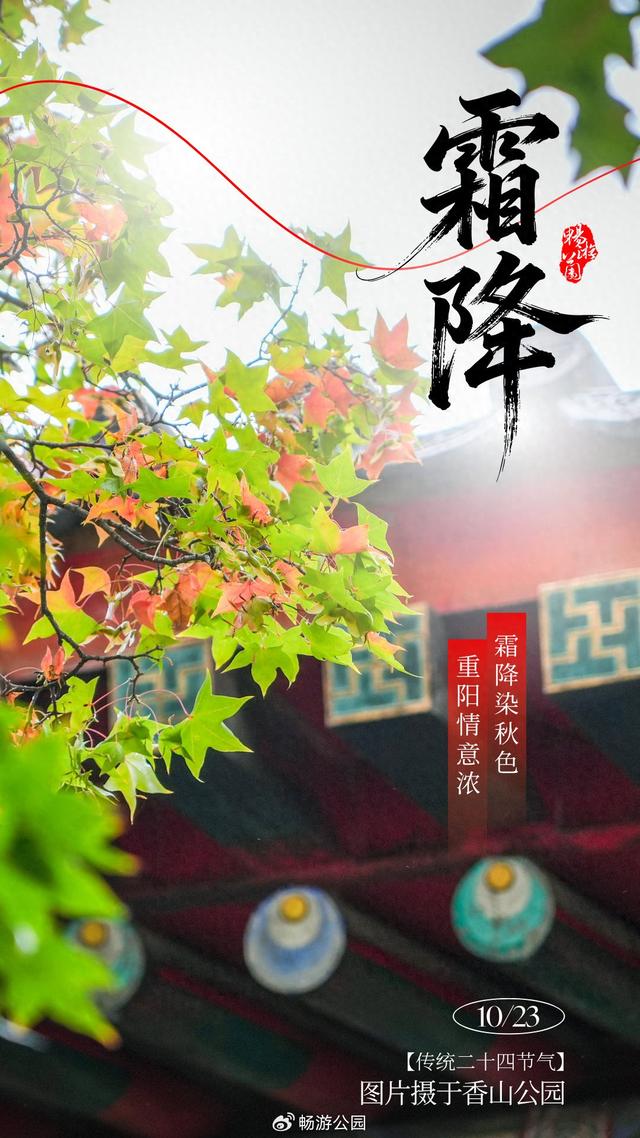 九九重阳登高赏红叶、观秋菊，北京市属公园活动一表收藏