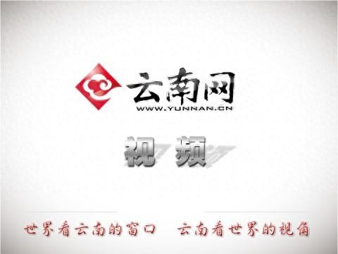 暮色中的抚仙湖：芦花摇曳 湖漾金光