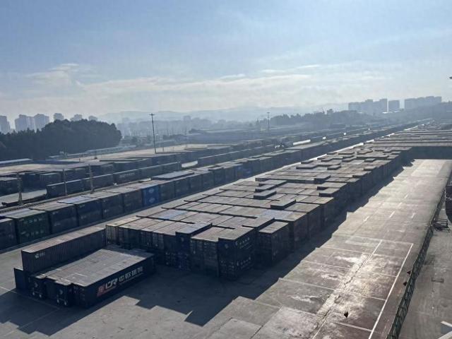 【坐上火车去云南】“中老铁路四周年行”丨与红嘴鸥一同享受昆明