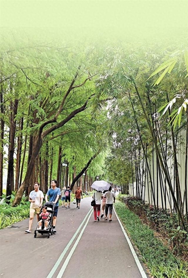 台阶变成缓坡道 坐轮椅轻松赏花 罗湖双园连通“神仙坡道”被夸上热搜