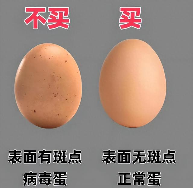 买鸡蛋时，挑干净的还是带鸡屎的？养殖户：都不对！