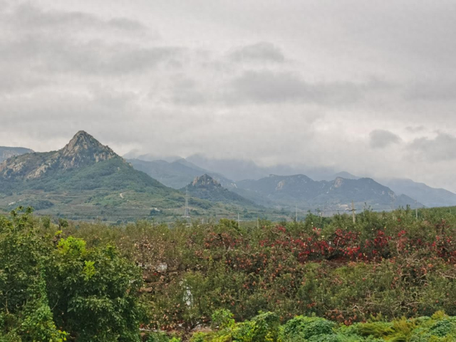 戴发利 || 艾崮山中寻瀑布