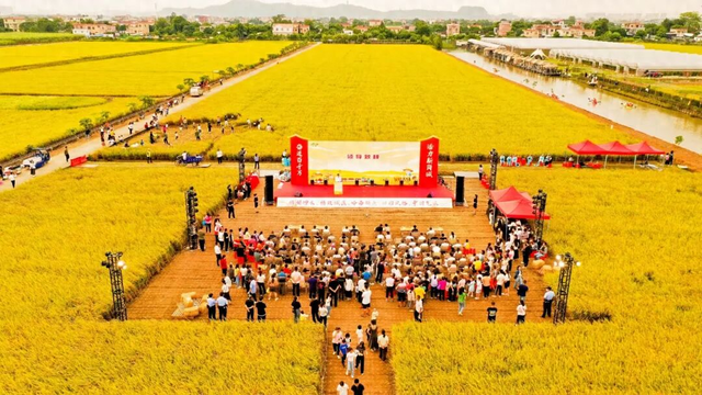 好吃好玩又好逛！本周末约定你庆丰收