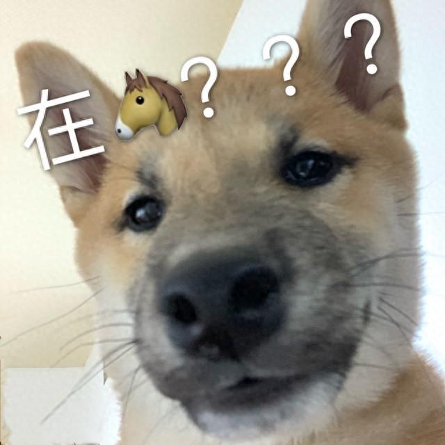 笑不活了！小区来了个“AI居委会”，第一天差点把全小区人送走！