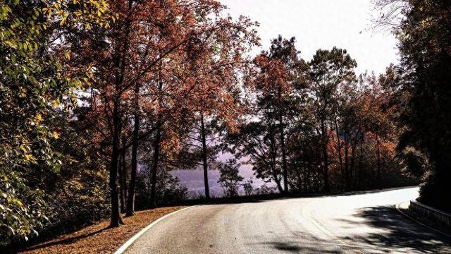 鹤峰邬阳 冬日桃源